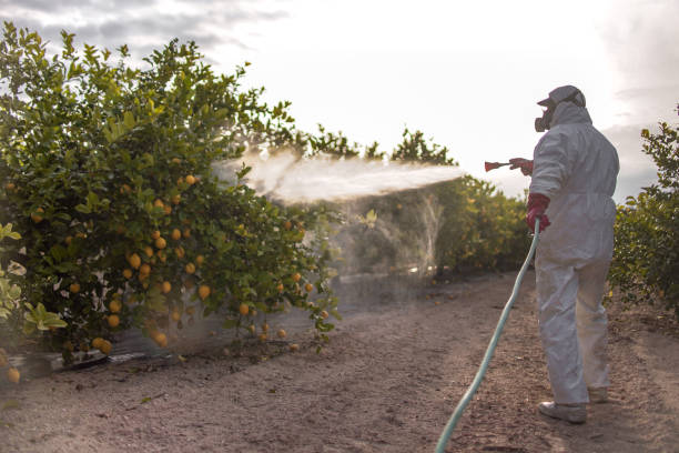 Best Mosquito Control Services  in Monaca, PA
