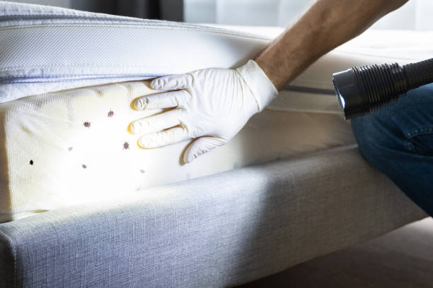 Best Emergency Pest Control  in Monaca, PA