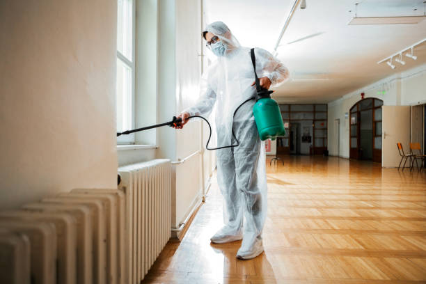 Best Flea Control Services  in Monaca, PA