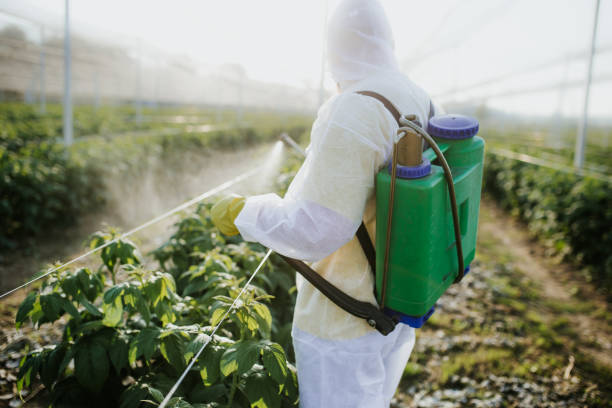 Best Commercial Pest Control Services  in Monaca, PA